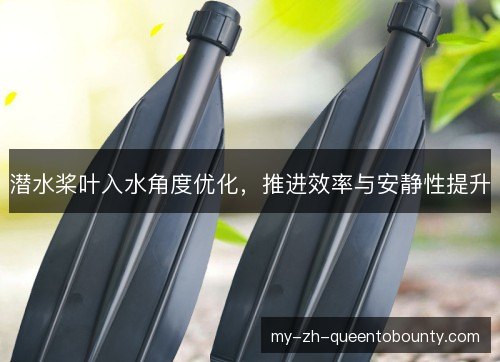 潜水桨叶入水角度优化，推进效率与安静性提升